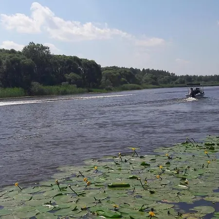 Vaeike Kuu Peamaja Myza Kastre