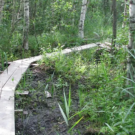 Vaeike Kuu Peamaja Puhkemaja *