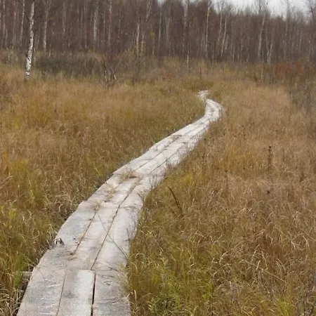 Puhkemaja Vaeike Kuu Peamaja *