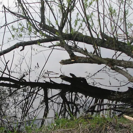 Vaeike Kuu Peamaja Casa vacanze *