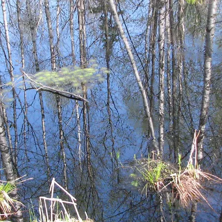 Vaeike Kuu Peamaja Casa vacanze