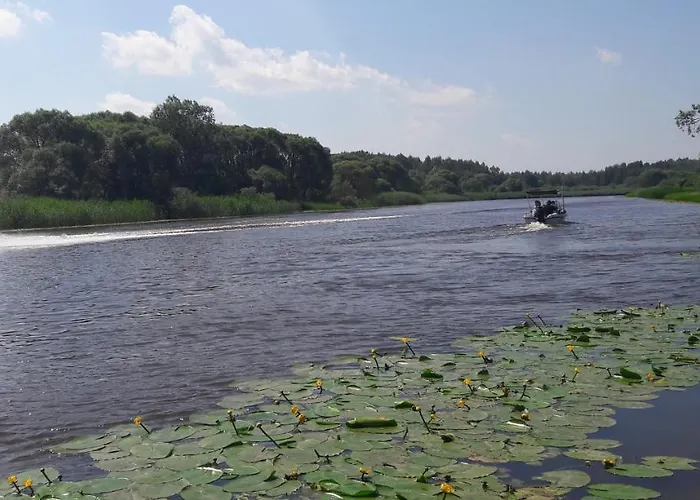 Vaeike Kuu Peamaja Myza Kastre