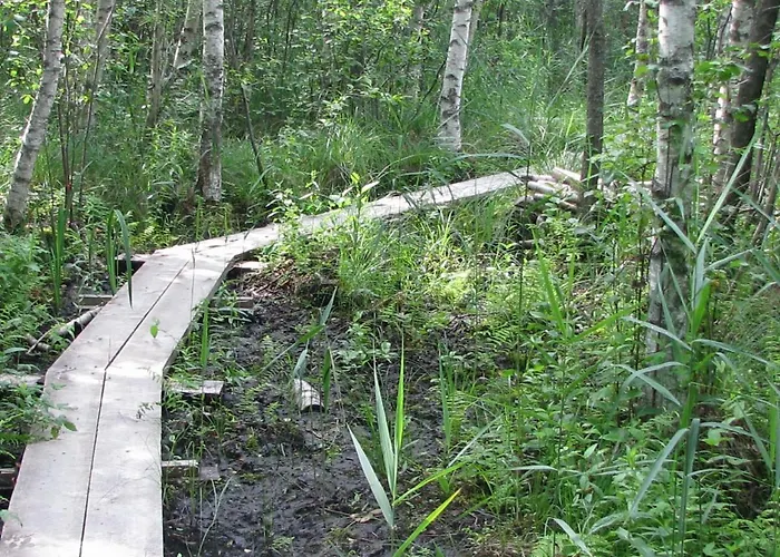 Vaeike Kuu Peamaja Vakantiehuis *