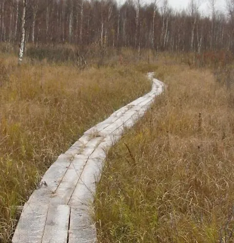 度假居 Vaeike Kuu Peamaja *