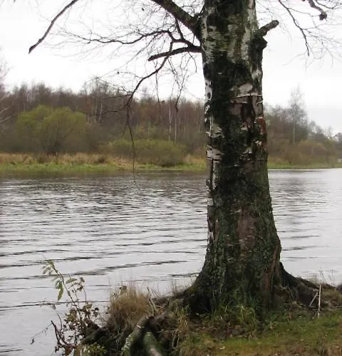 Vaeike Kuu Peamaja 度假居 Myza Kastre