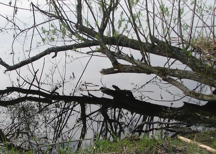 Vaeike Kuu Peamaja Vakantiehuis *