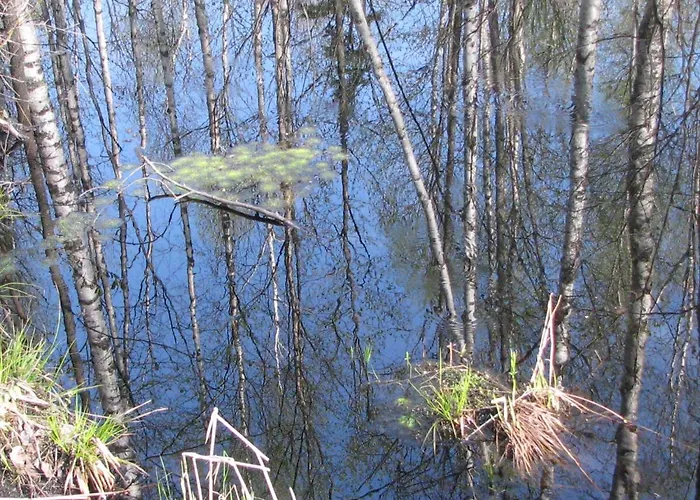 Vaeike Kuu Peamaja 度假居